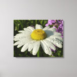 Daisy and Summer Lilac Wildflower Canvas Print