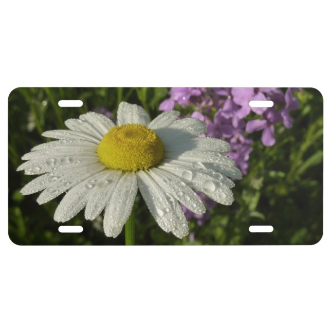 Daisy and Summer Lilac Wildflower License Plate (Front)