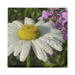 Daisy and Summer Lilac Wildflower Magnet