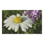 Daisy and Summer Lilac Wildflower Rectangular Sticker