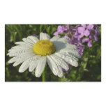 Daisy and Summer Lilac Wildflower Rectangular Sticker