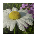 Daisy and Summer Lilac Wildflower Tile