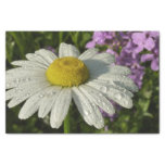 Daisy and Summer Lilac Wildflower Tissue Paper