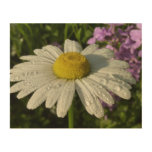 Daisy and Summer Lilac Wildflower Wood Wall Decor