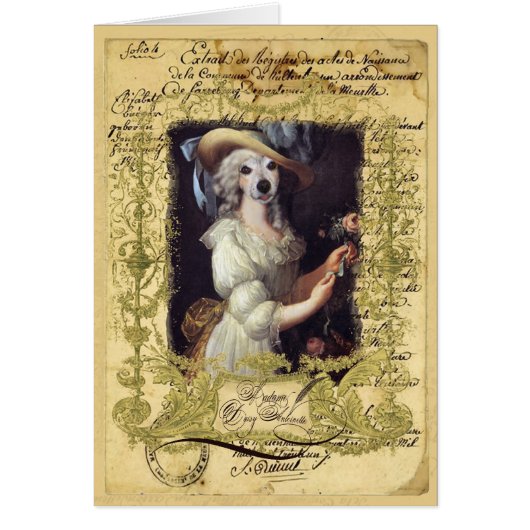 Daisy Antoinette Cards (Front)