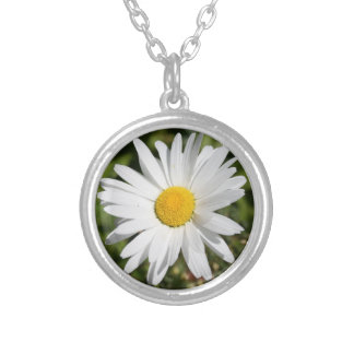 Daisy April birth month flower Silver Plated Necklace