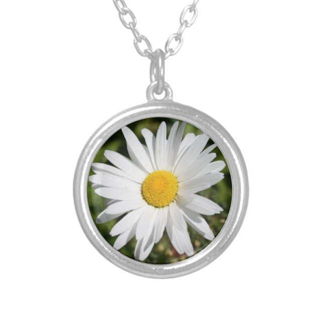 Daisy April birth month flower Silver Plated Necklace (Front)