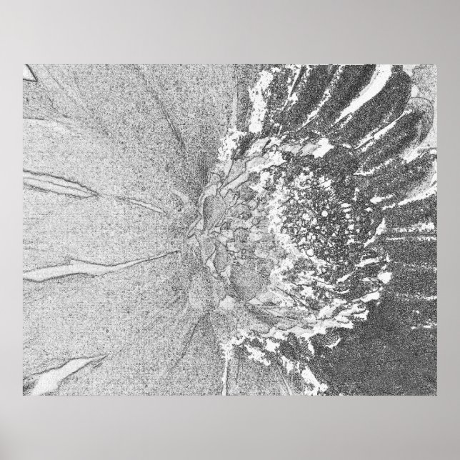 Daisy Art Poster (Front)