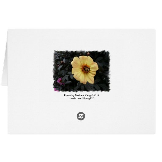 Daisy Bee card (Back Horizontal)