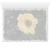 Daisy Bee card (Inside Horizontal (Bottom))