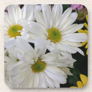Daisy Beverage Coaster