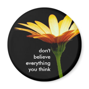 daisy bkgd, don't believe everything you think magnet