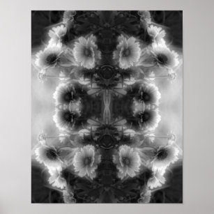 Daisy Blanket Flower Black And White Abstract  Poster