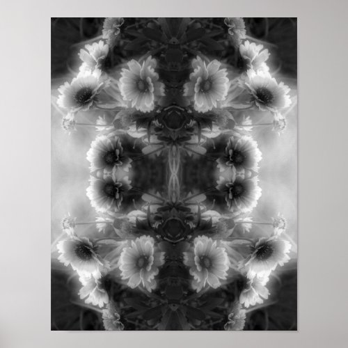 Daisy Blanket Flower Black And White Abstract  Poster