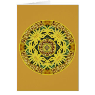 Daisy Bliss Solar Plexus Chakra Cards