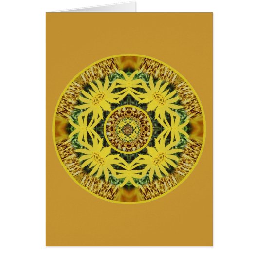 Daisy Bliss Solar Plexus Chakra Cards (Front)