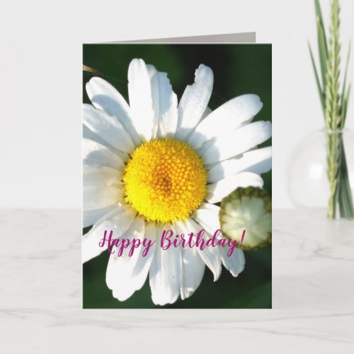 Daisy Blossom Birthday Greeting Card