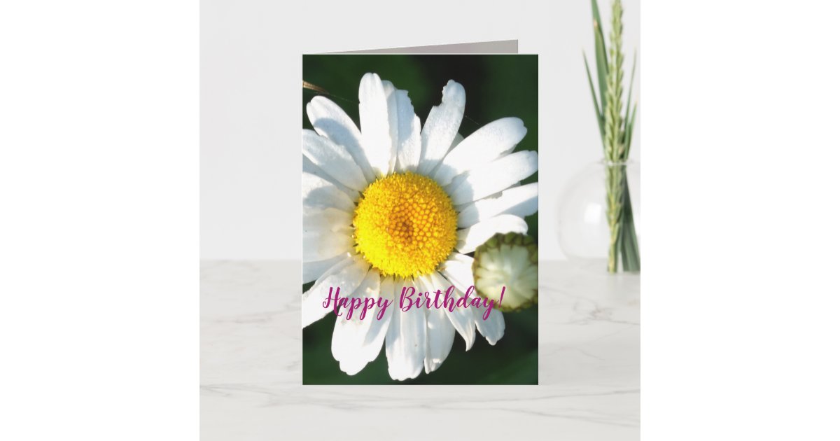 Daisy Blossom Birthday Greeting Card | Zazzle