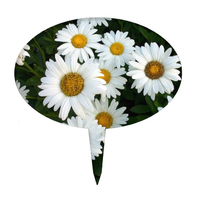 Daisy Bouquet Cake Pick(Topper) Topper (Front)