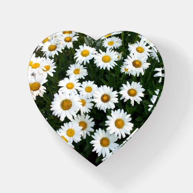 Daisy Bouquet Glass Paperweight (Front)