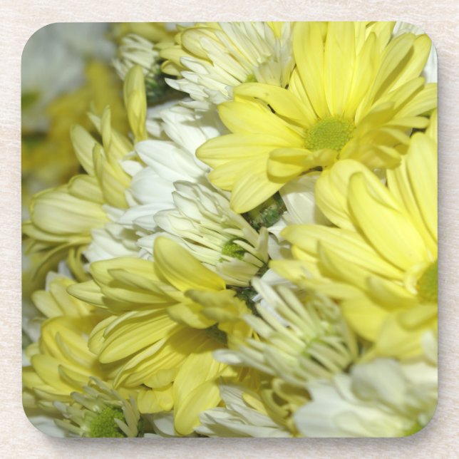 Daisy Bouquets Beverage Coaster (Front)