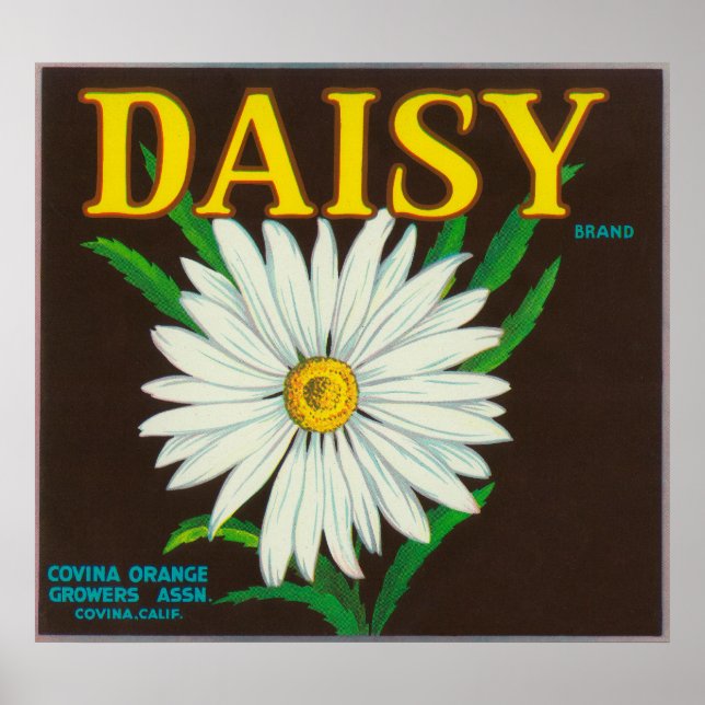 Daisy Brand Citrus Crate Label Poster (Front)