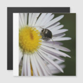 “Daisy & Bumblebee Puzzle – Nature’s Tiny Harmony” (Front/Back)