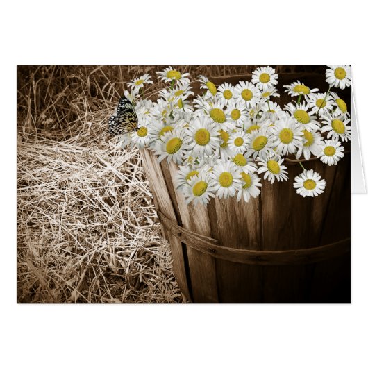 Daisy Bunch Cards (Front Horizontal)