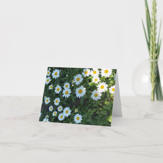 Daisy Bush Photograph Card (Front)