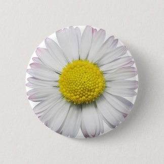 Daisy Button