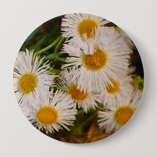 Daisy Button (Front)