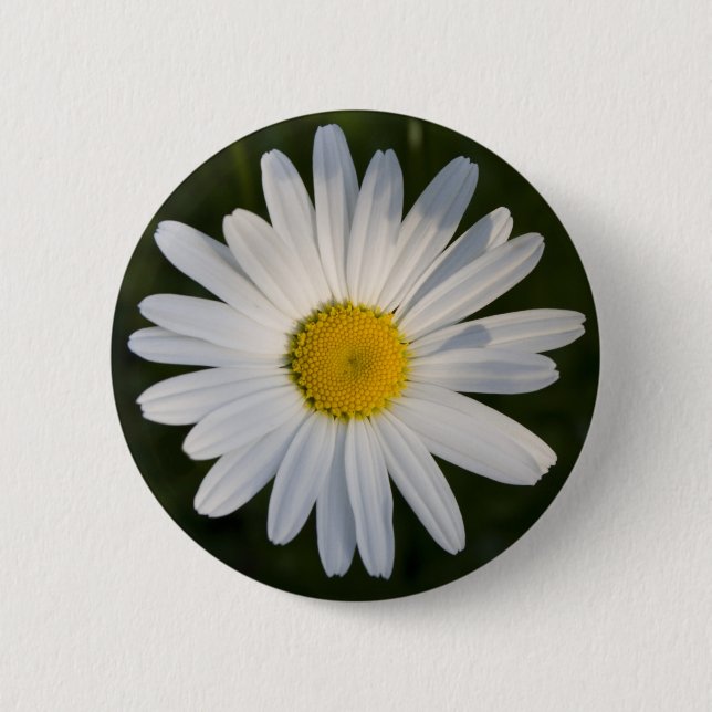 Daisy Button (Front)