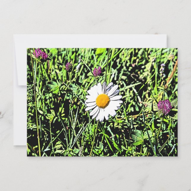 Daisy Card (Front)
