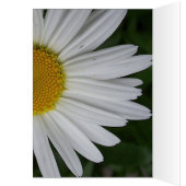 Daisy Card (Inside (Left))