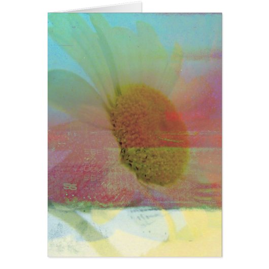 Daisy Cards (Front)