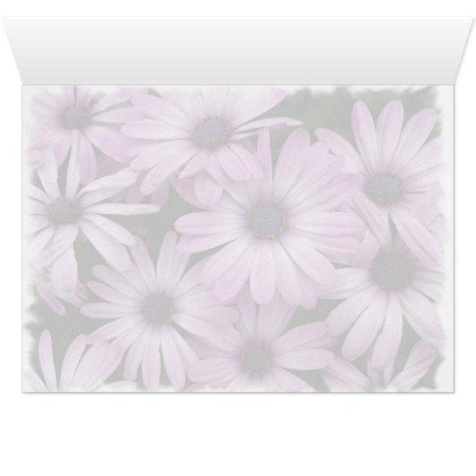 Daisy Cards (Inside Horizontal (Bottom))