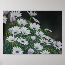 Daisy Chrysanthemum Art Print