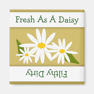 Daisy Clean Dirty Indicator Dishwasher Magnet