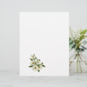 Daisy Cluster (Standing Front)
