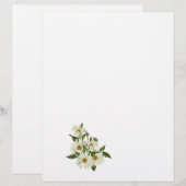 Daisy Cluster (Front/Back)