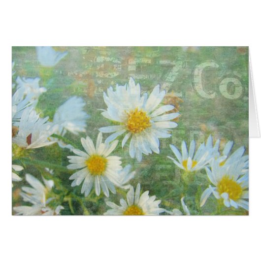 Daisy Co. Cards (Front Horizontal)