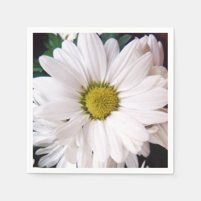 *Daisy* Cocktail Party Napkins (Front)