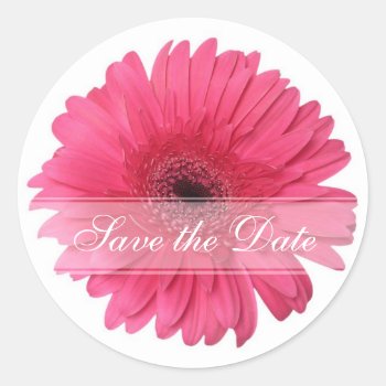 Daisy Custom Floral Sticker by EveStock at Zazzle