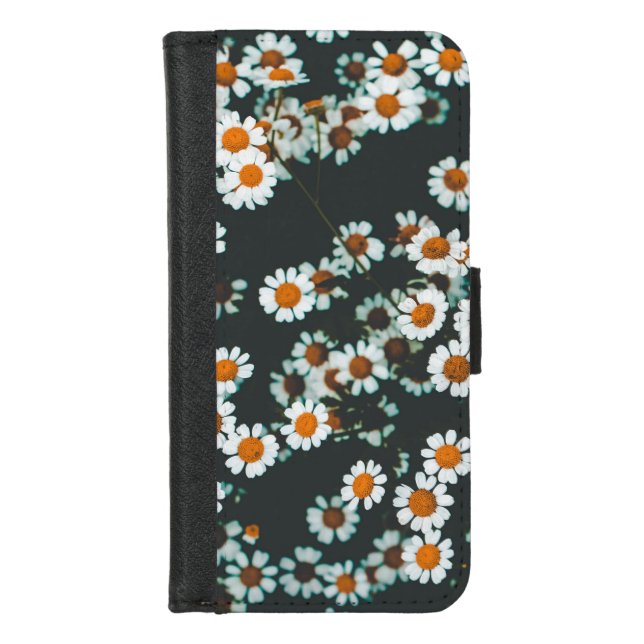 Daisy Daisies Floral iPhone Wallet Case (Front)