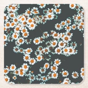 Daisy Daisies Floral Square Paper Coaster