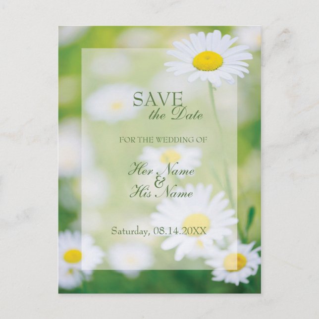Daisy Daisies Flower Floral Summer SAVE the Date Announcement Postcard (Front)