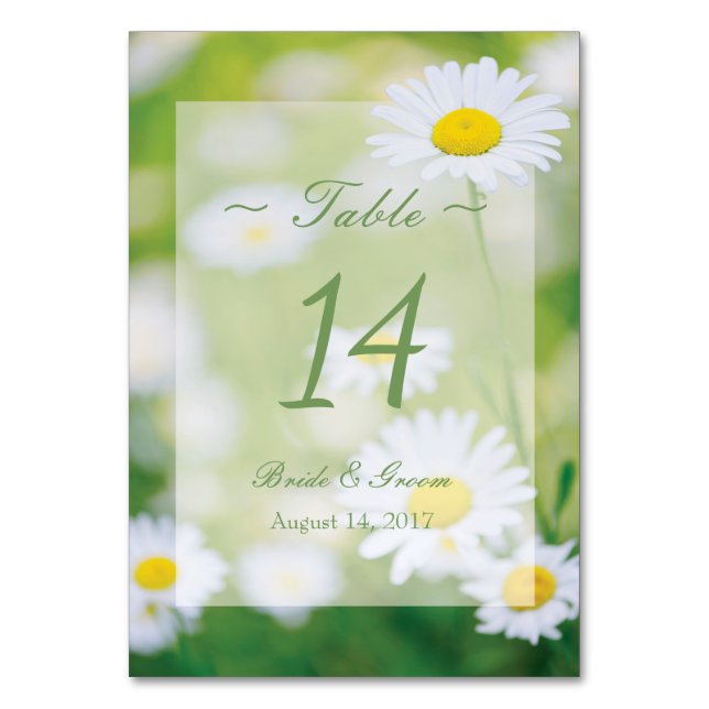 Daisy Daisies Flower Floral Summer Table Number (Front)