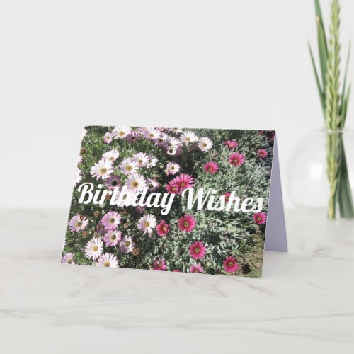 Daisy Daisies Pink Red Flowers Floral Birthday Card