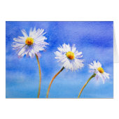 Daisy Daisy (Front Horizontal)