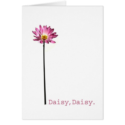 Daisy,Daisy Cards (Front)